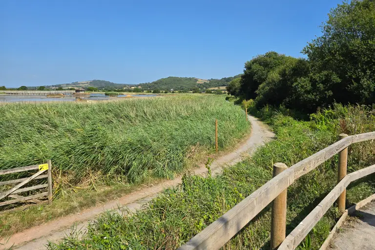 Seaton Wetlands: reed beds and open water by the Axe estuary