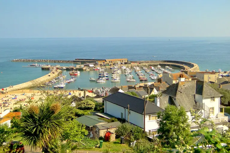 The Cobb and Lyme Regis harbour seen from above, with boats moored inside the stone wall