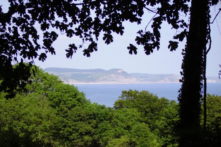 Looking out from the Undercliff towards Golden Cap