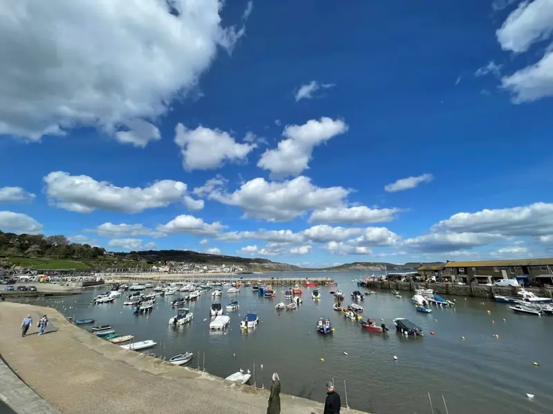 Akassa, Lyme Regis: photo 36
