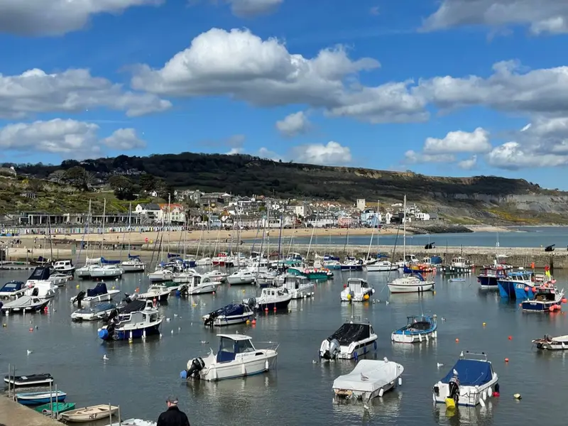Akassa, Lyme Regis: photo 33